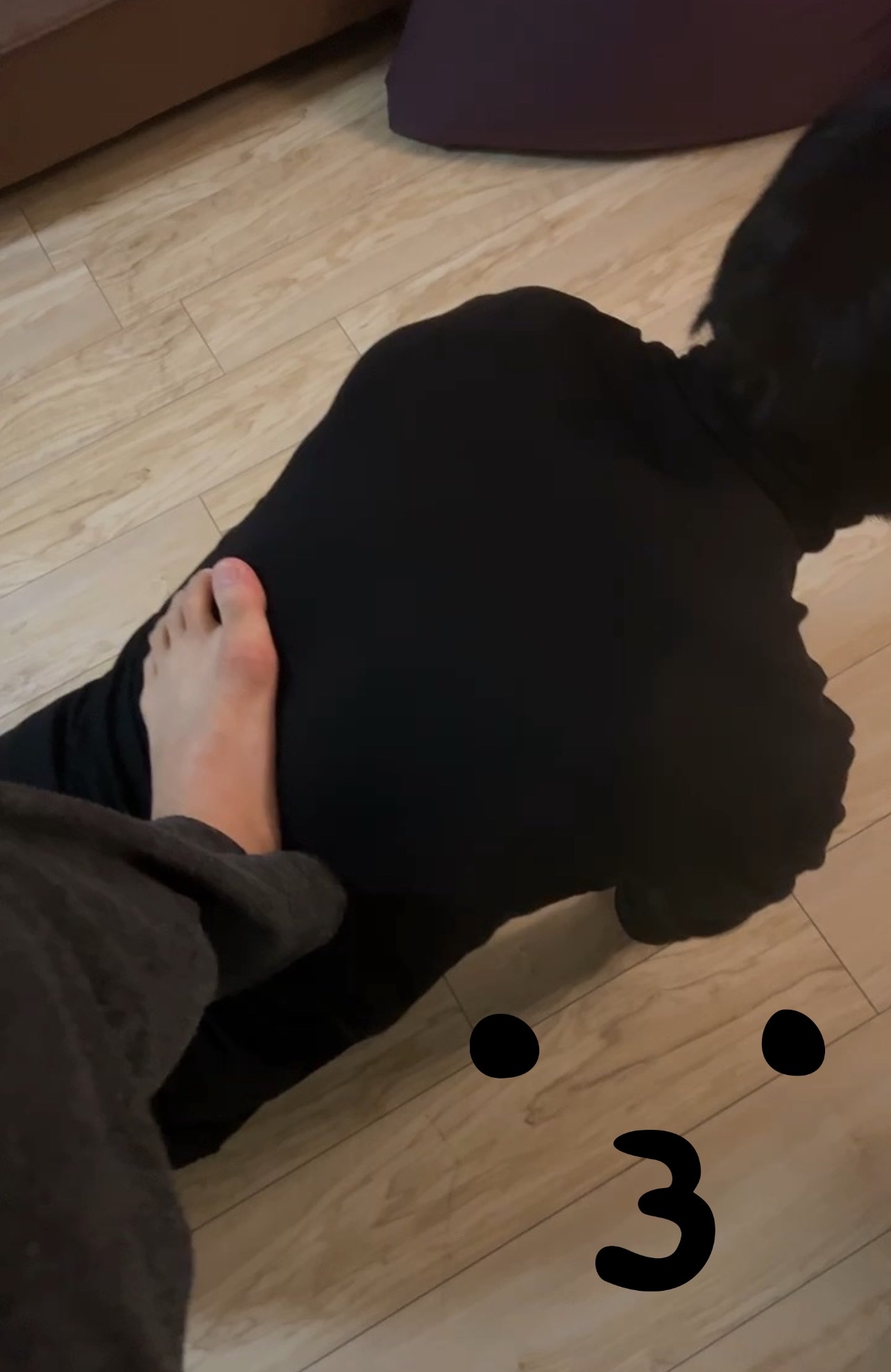 ARAN（アラン） アランZAP（マキ調教）