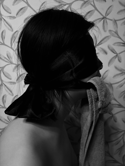 SEIYA(セイヤ) 帯目隠し口枷