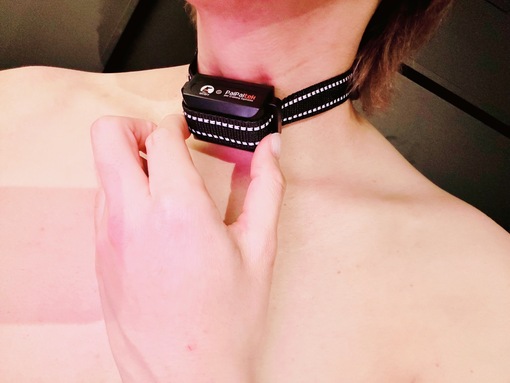 YUNO(ユノ) 電気首輪で調教される？🐶💡